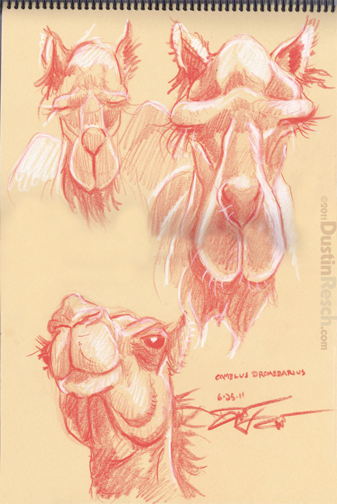 D0gDraW Dustin Resch Animal Face Scribbles 3 Chimpanzilla
